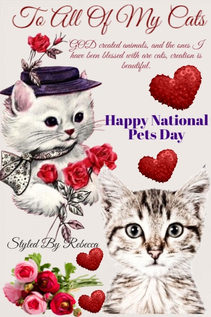 To All Of My Cats