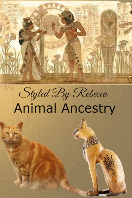 Animal Ancestry- combinação de moda