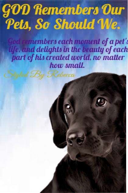 Each Moment Of A Pet