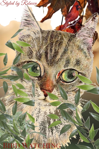 Bird Watching-Cat Art- Fashion set