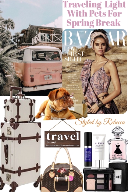 Spring Break Pet Travel- combinação de moda