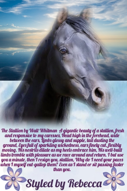 The Stallion by Walt Whitman- Modna kombinacija