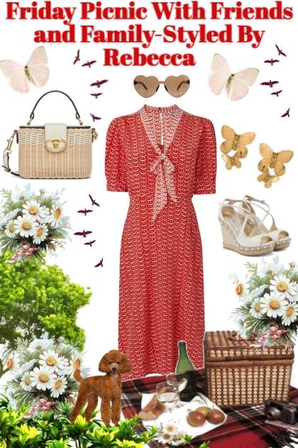 Friday Picnic With Friends and Family- Fashion set