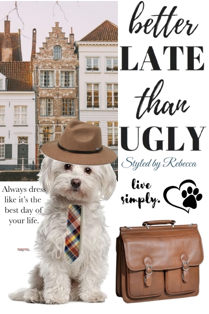 Dog Day Thursday- Combinazione di moda