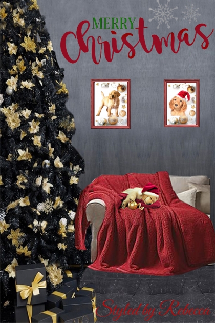 A Pets 1st Christmas- combinação de moda