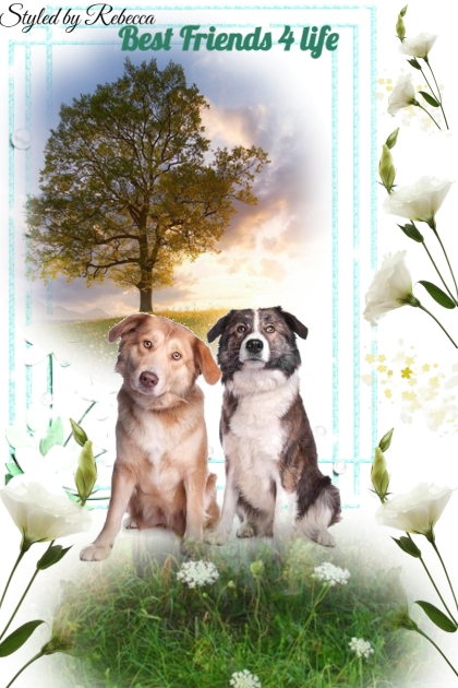 Best Friends 4 life-Pet Art- Модное сочетание