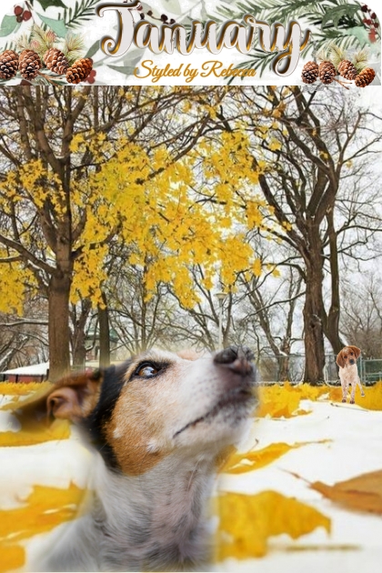 A Good Day For The Dog Park