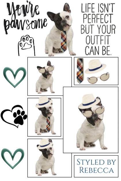 Paw Paw Style 