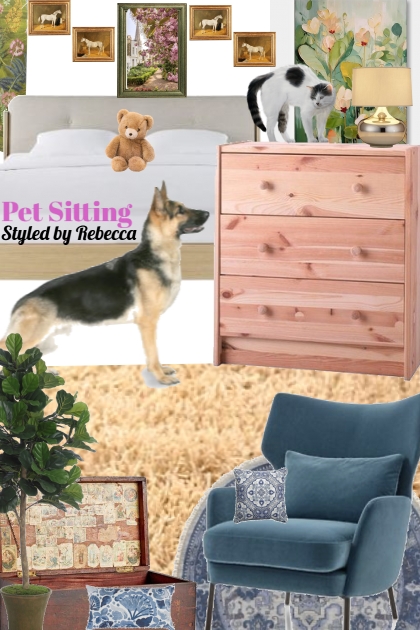 Pet Sitting -Cats and Dogs