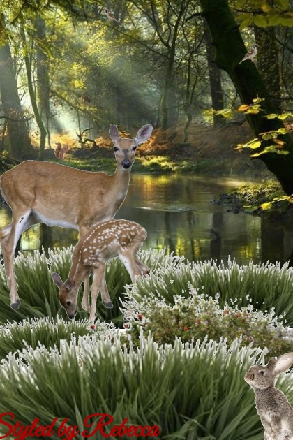 Deer Pond