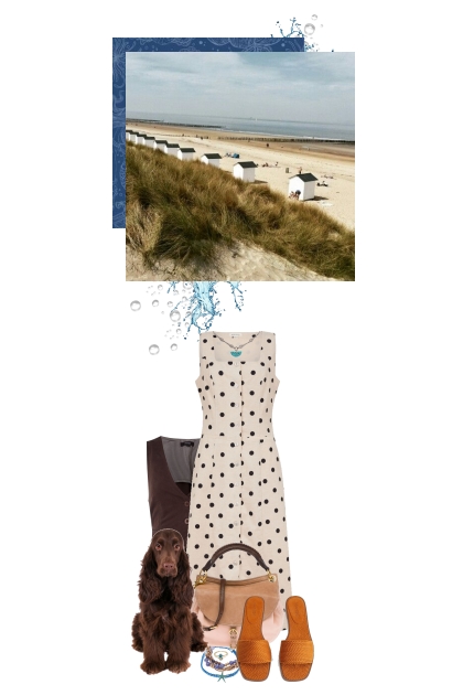 the local from knokke-Heist (Belgium)
