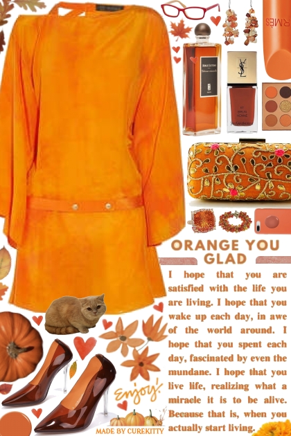 Orange You Glad! - Fashion set