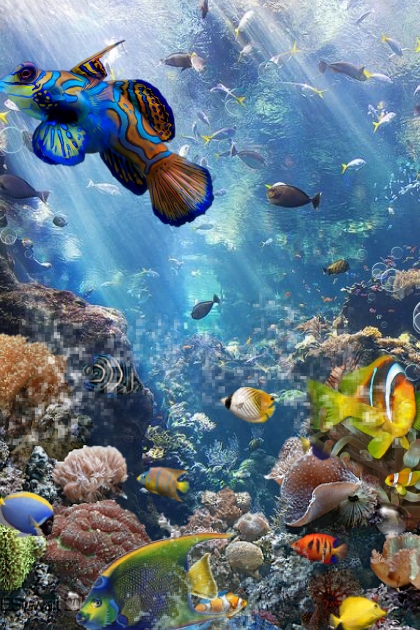Underwater Splendor- combinação de moda