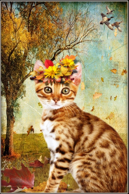 Autumn Cat- Combinazione di moda