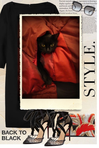 The Black Cat- Fashion set