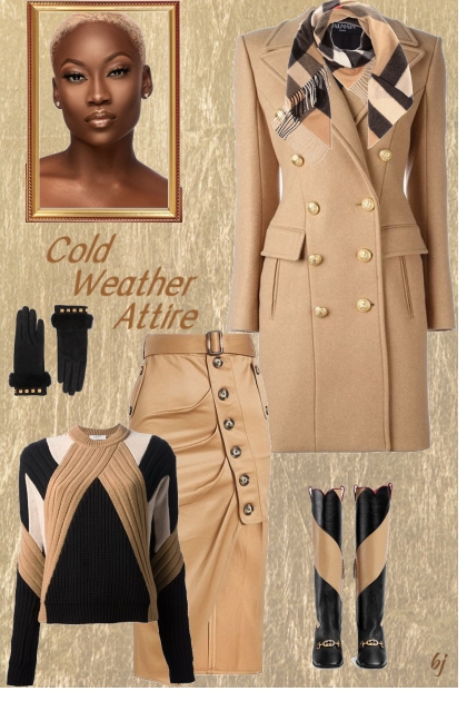 Cold Weather Attire- Combinaciónde moda