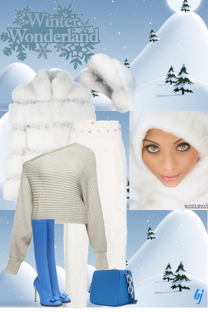 Winter Wonderland- Combinazione di moda