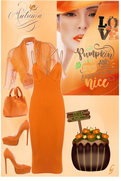 Pumpkin Spice and Everything Nice- Fashion set