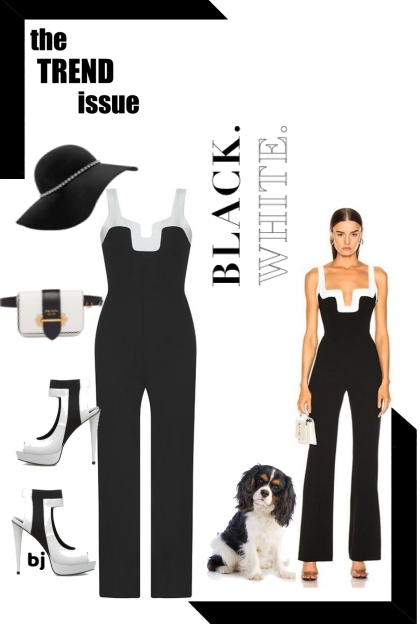 Black and White Trend- Modna kombinacija