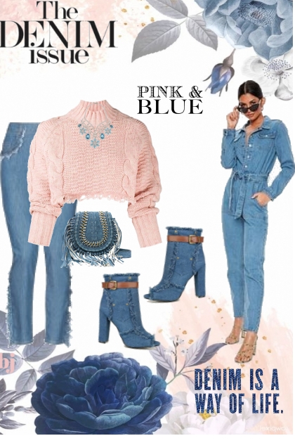 The Denim Issue--Pink and Blue- combinação de moda
