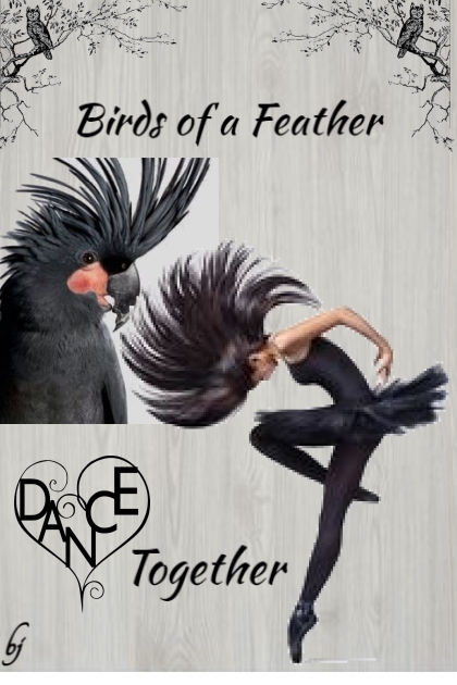 Birds of a Feather- combinação de moda