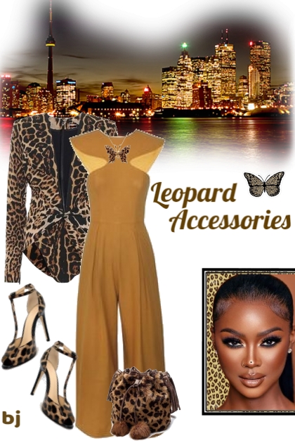 Leopard Accessories