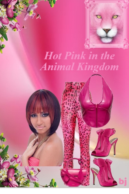 Hot Pink in the Animal Kingdom