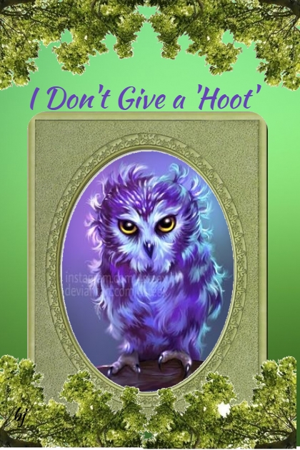 I Don't Give a 'Hoot'