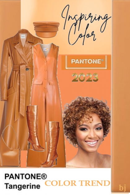Pantone Color--Tangerine Jumpsuit- Modekombination