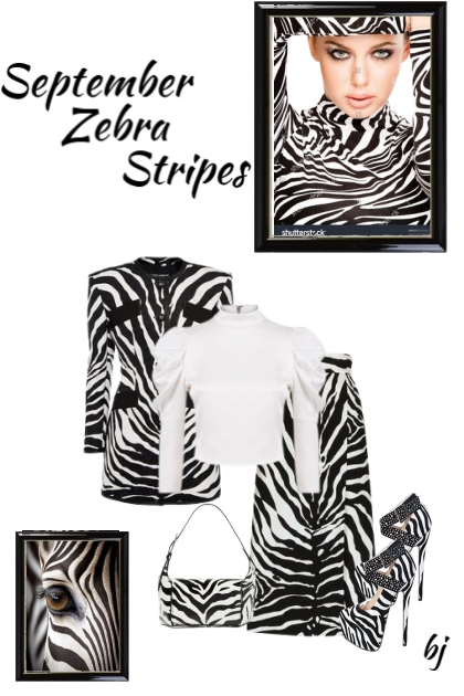 September Zebra Stripes- Fashion set