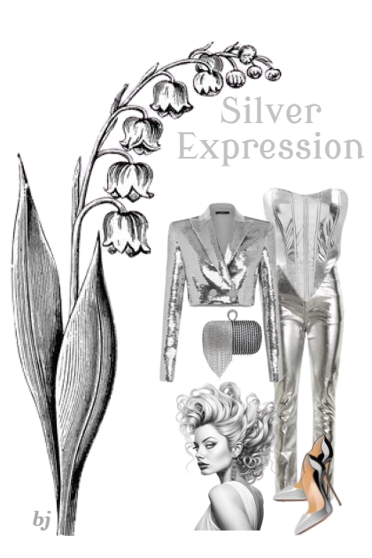 Silver Expression- Combinazione di moda