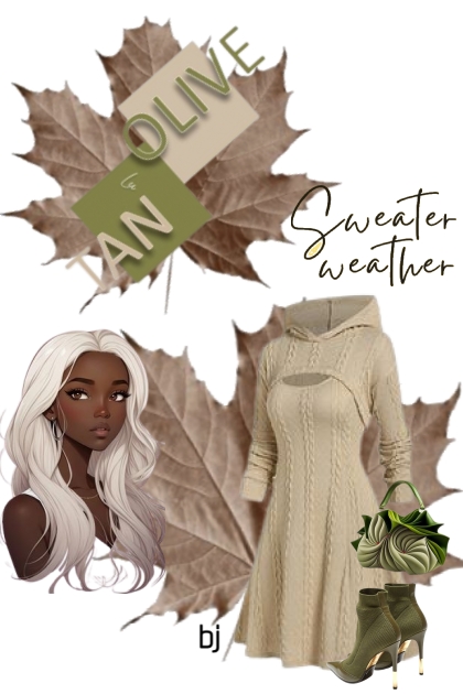 Sweater Weather Coming- Fashion set