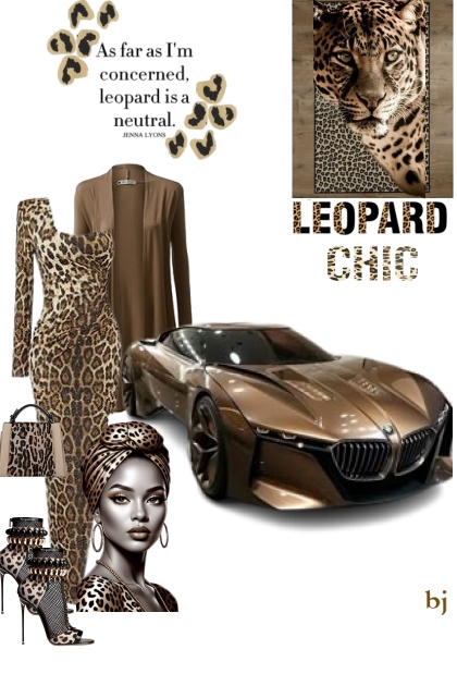 Leopard Chic...- Fashion set