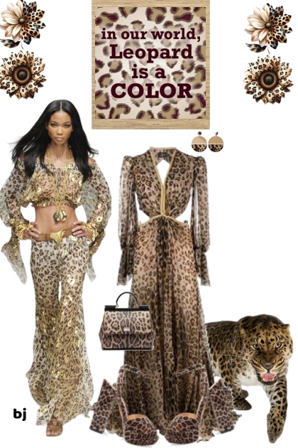 Leopard is a Color in Our World