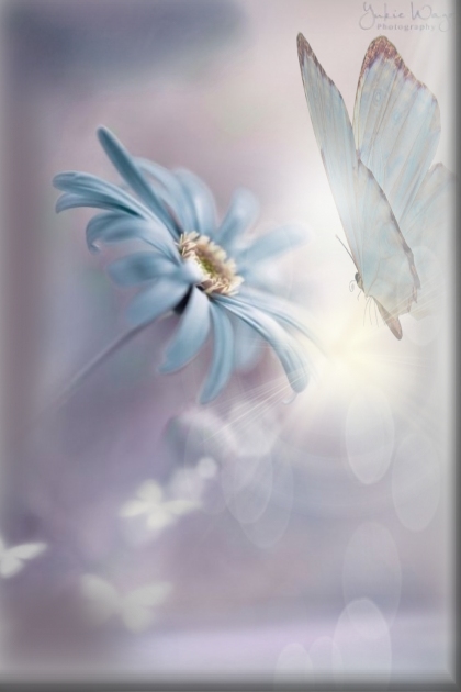 blue butterfly- Модное сочетание