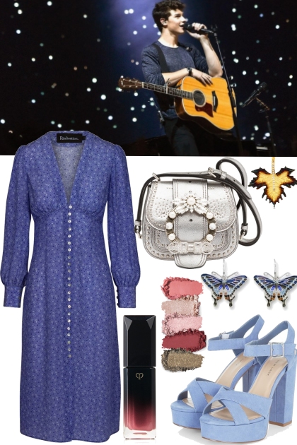 On Concert to shawn mendes- Fashion set