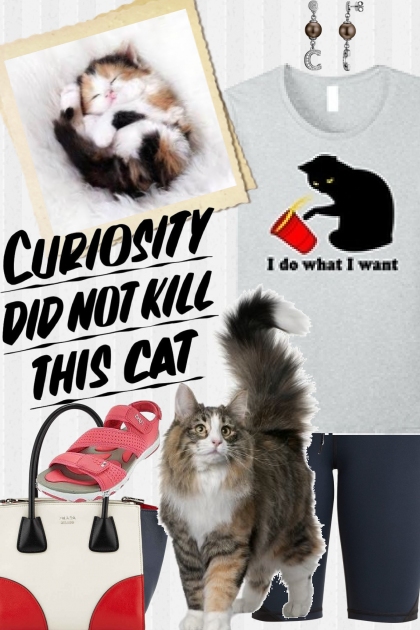 Curiosity Did Not Kill This Cat!- Fashion set