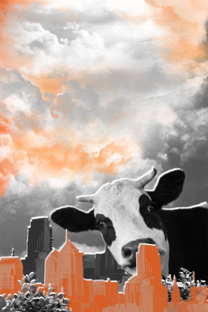 Cow Visits The City