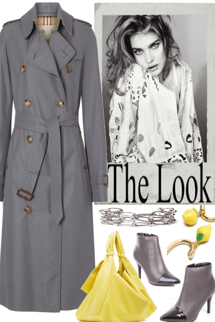 THE LOOK- combinação de moda