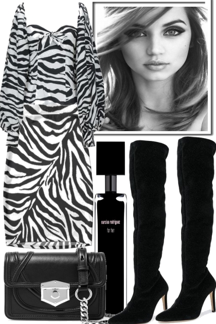 -zebra and black- combinação de moda