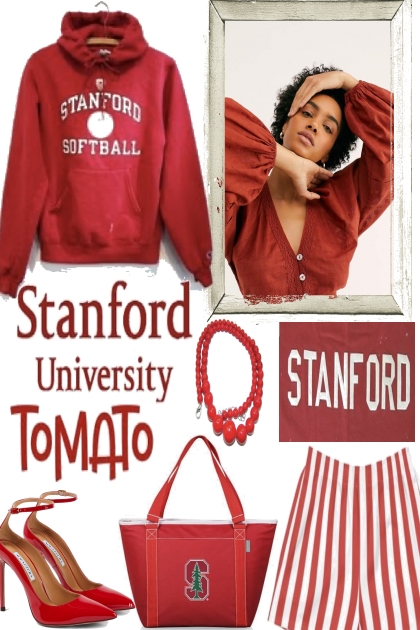 STANFORD- combinação de moda