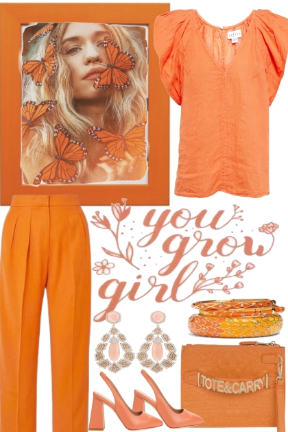 HAPPY COLOR --- ORANGE- Fashion set