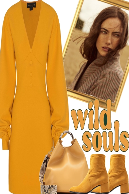 ?`?`wild souls- Combinazione di moda