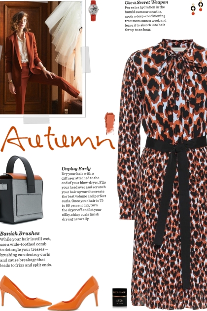 How to wear a Leopard Print Belted Midi Dress!- Modna kombinacija
