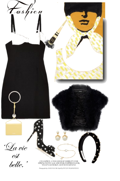 An Evening in Black and White - Fashion set