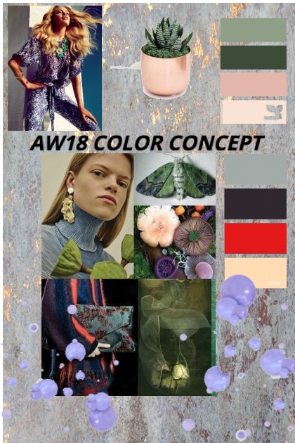 AW COLOR CONCEPT- combinação de moda