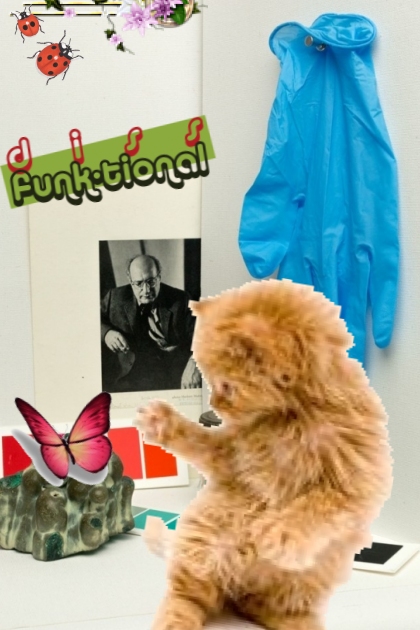 diss funktional kitty 