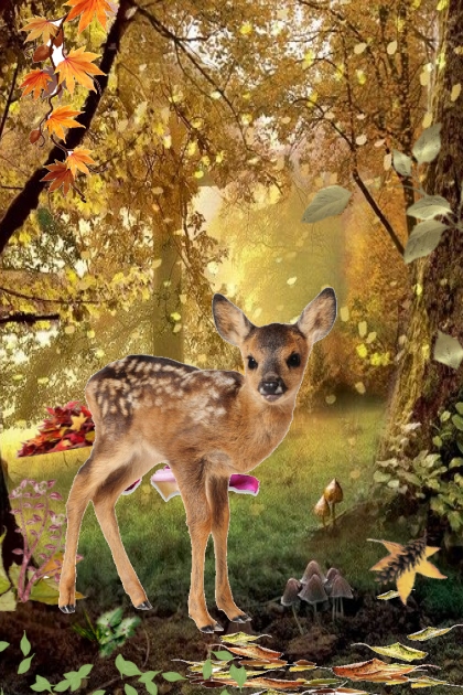 baby fawn in fall leaves- Modna kombinacija