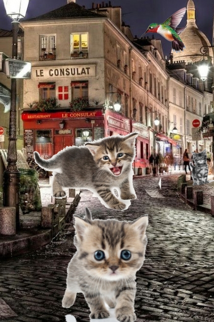 cats "the thriller:"- combinação de moda