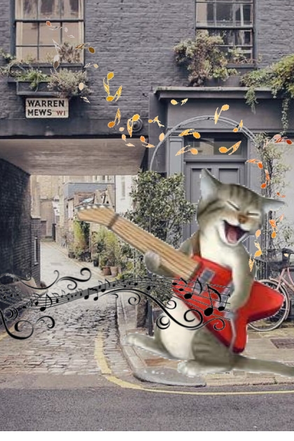 ALLEY CAT BUSKING